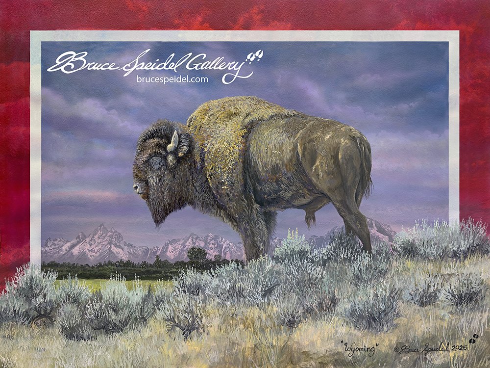 Wyoming web.jpg