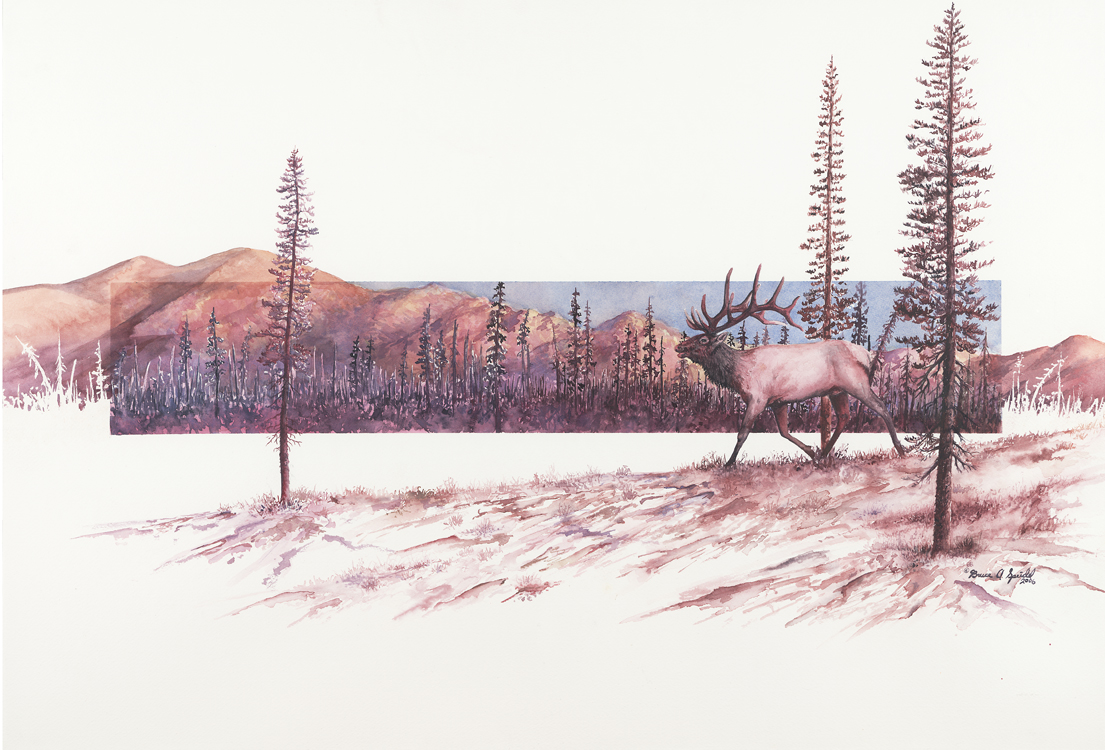 bighornsbigantlers.jpg