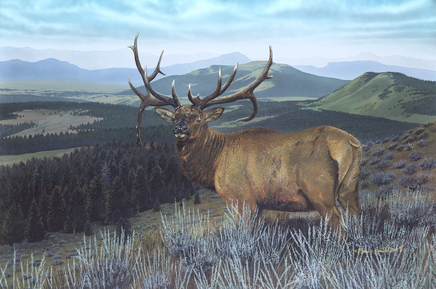 veteran-elk.jpg