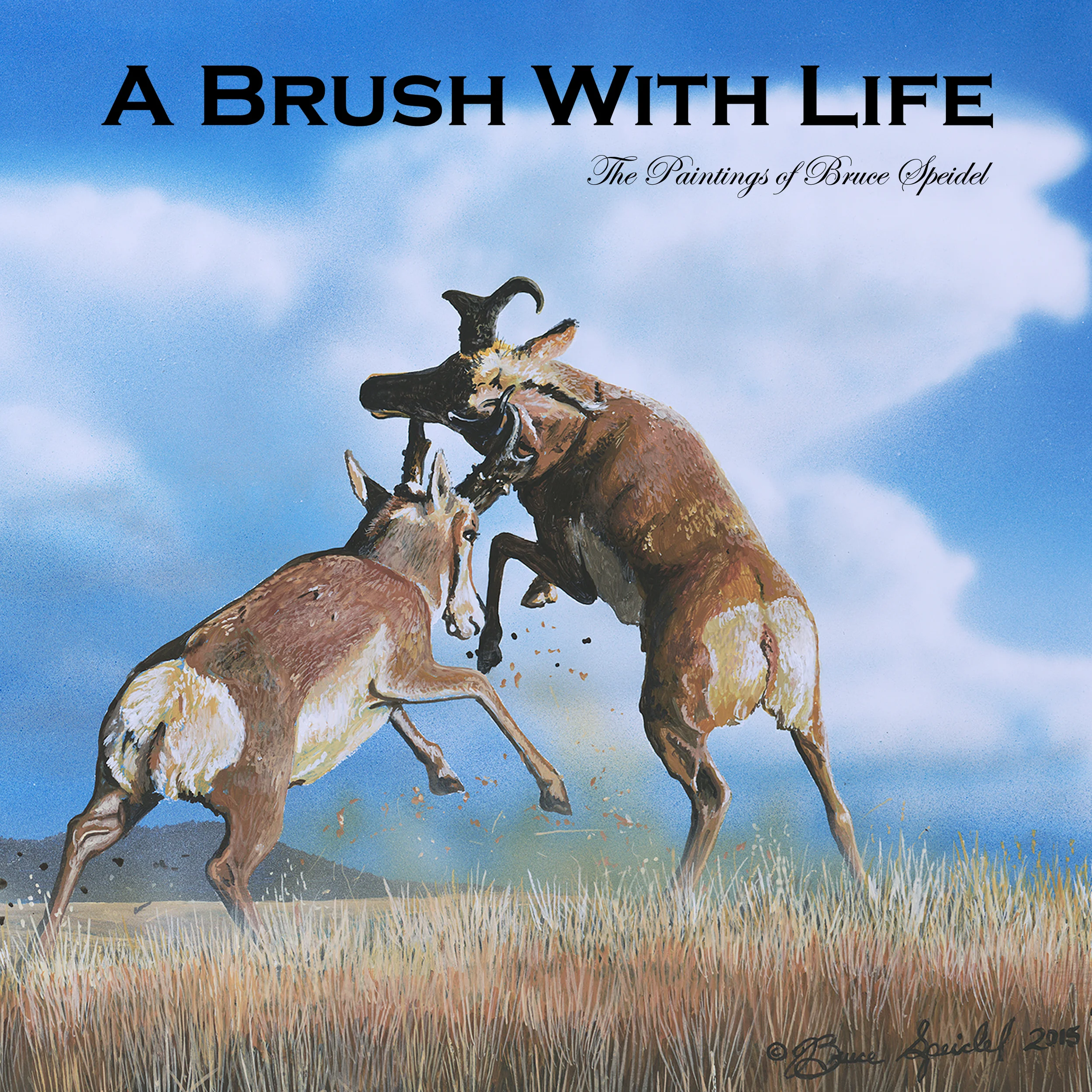 Cover.jpg