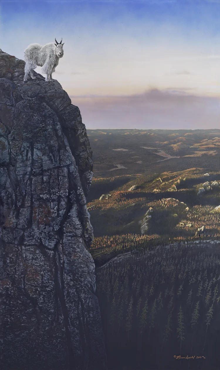 Harney Peak Lookout.jpg