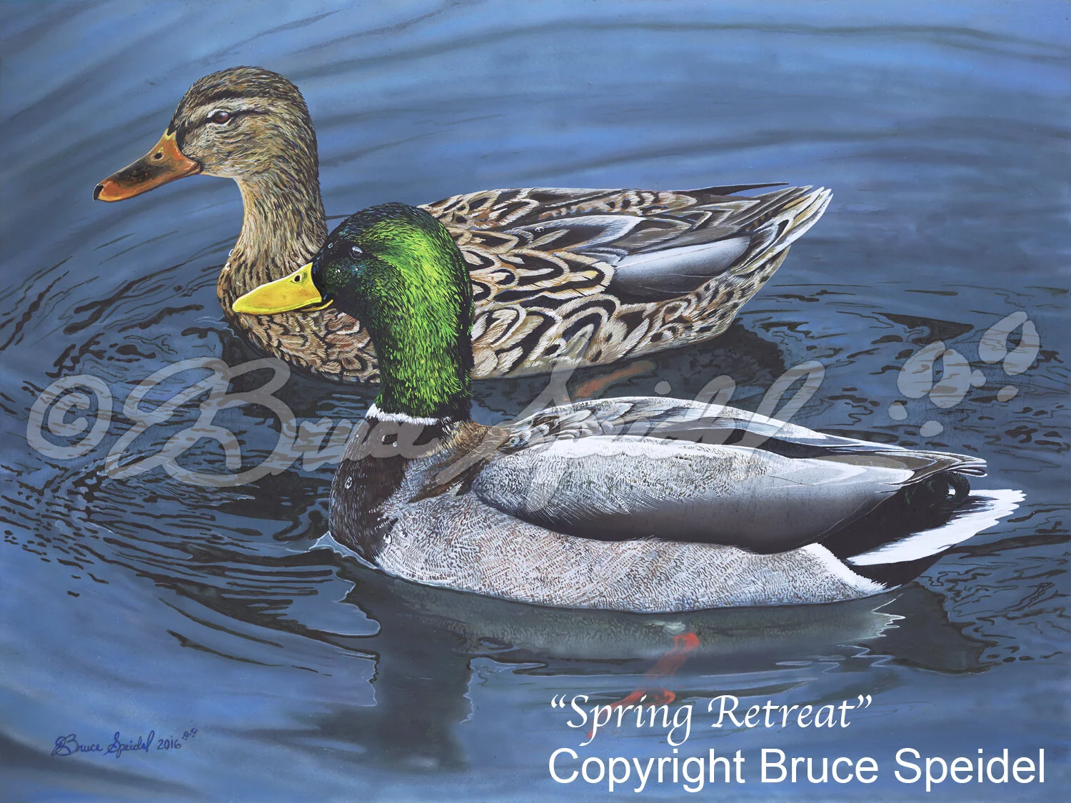 IN0072 Spring Retreat WEB.jpg