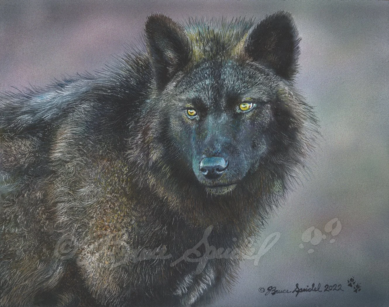 Black Wolf Web.jpg