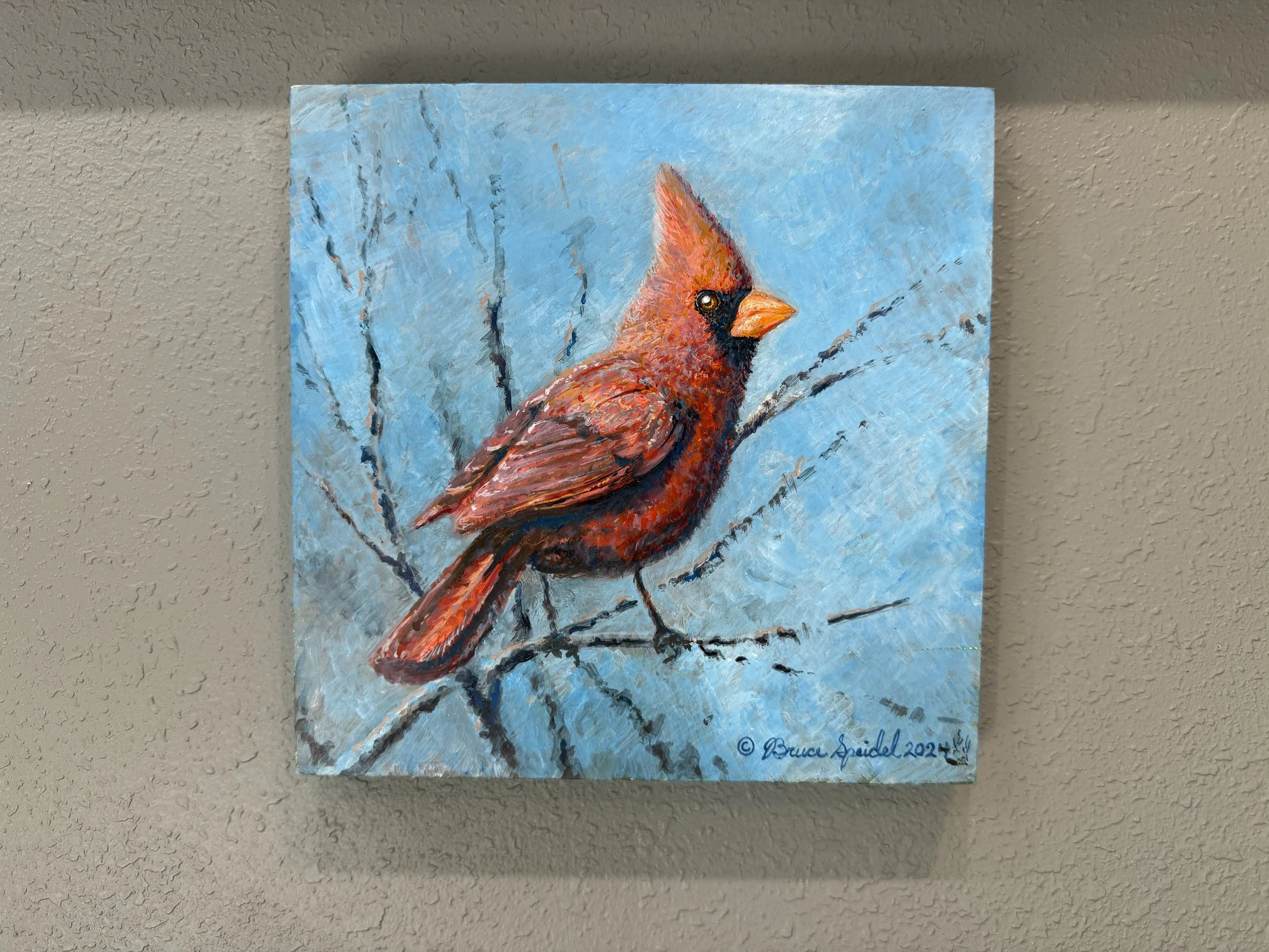 Strutting the Red Suit.jpg