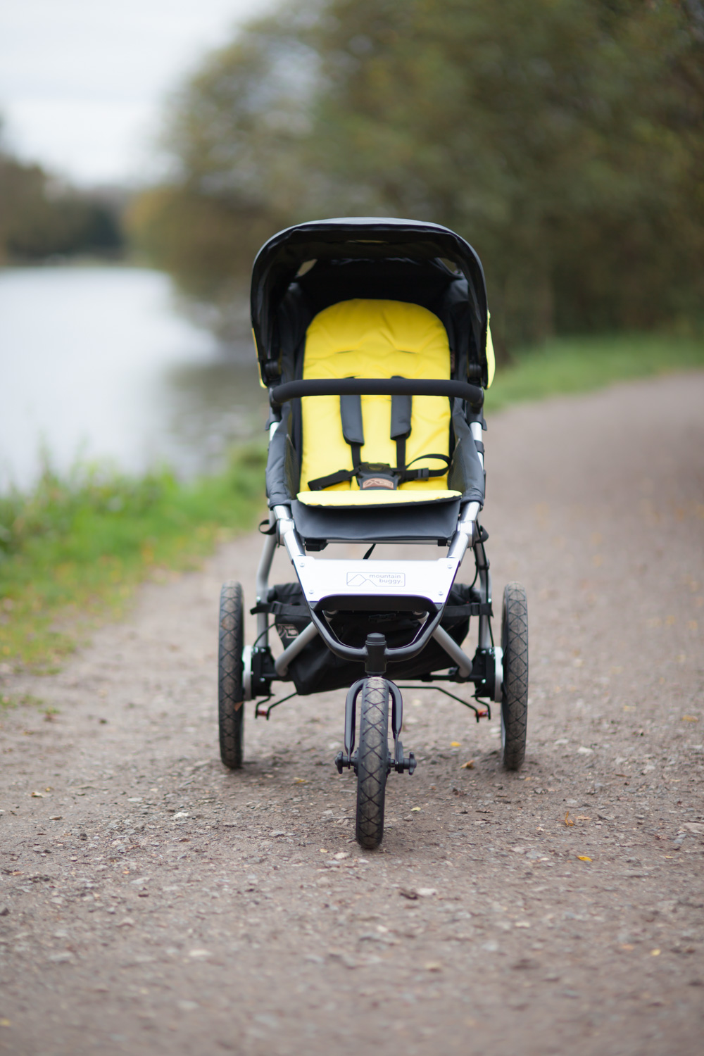 mountain buggy terrain for sale