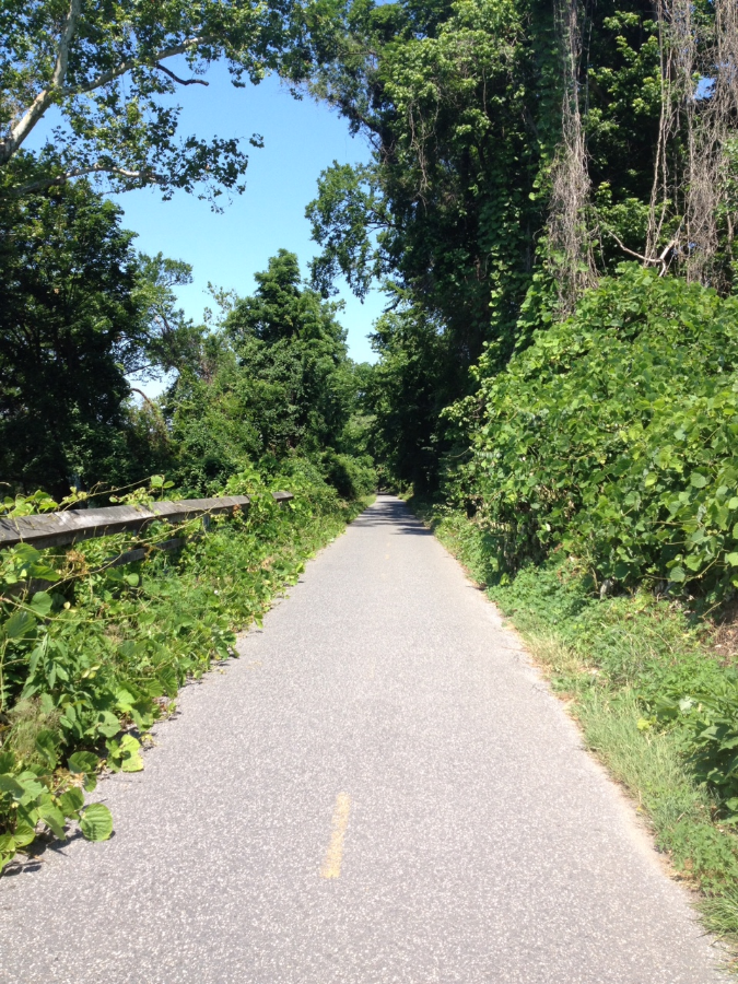 hugely jealous of this trail...and the weather