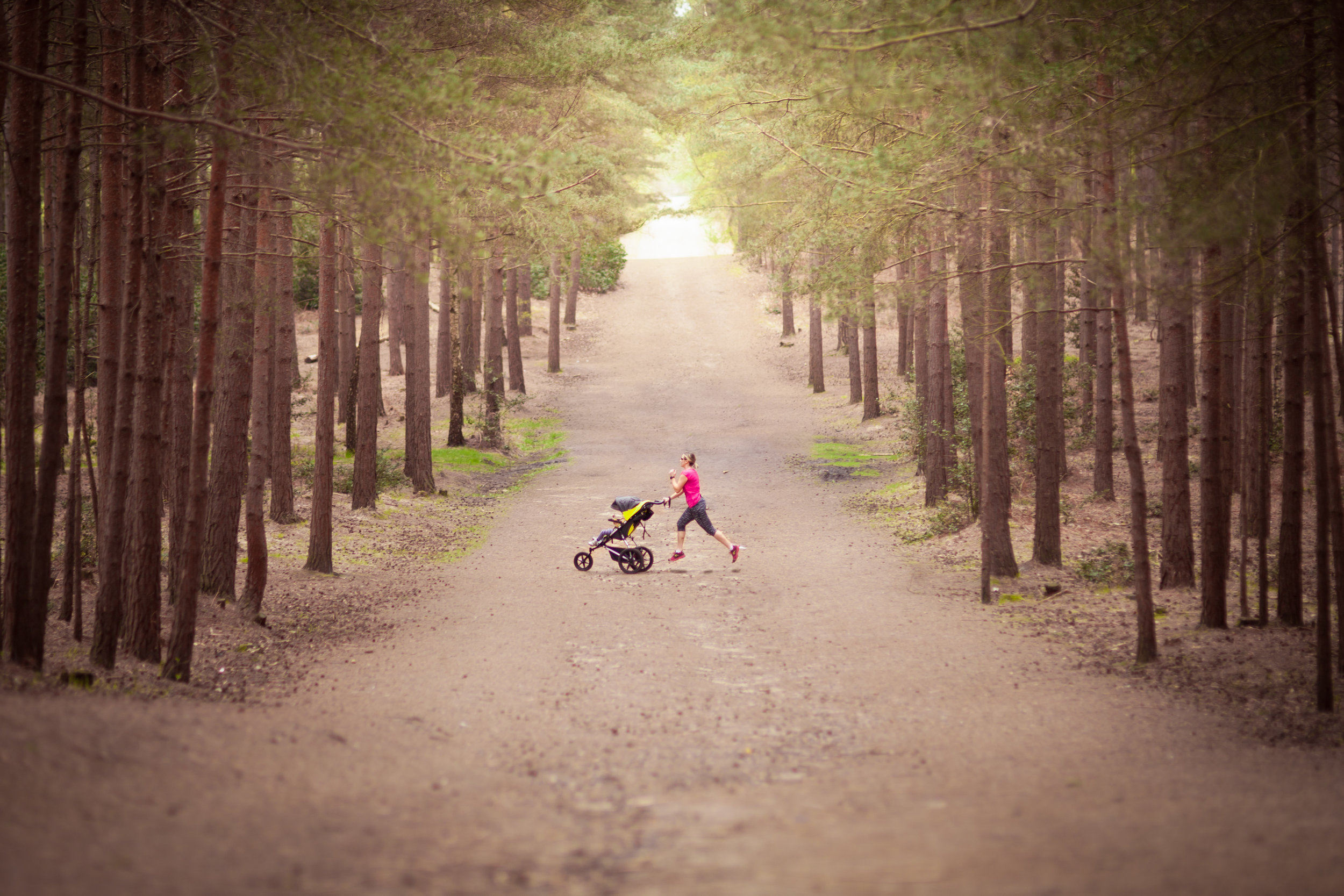 WR Mountain Buggy Terrain Running Buggies distance across trees High res no logo.jpg