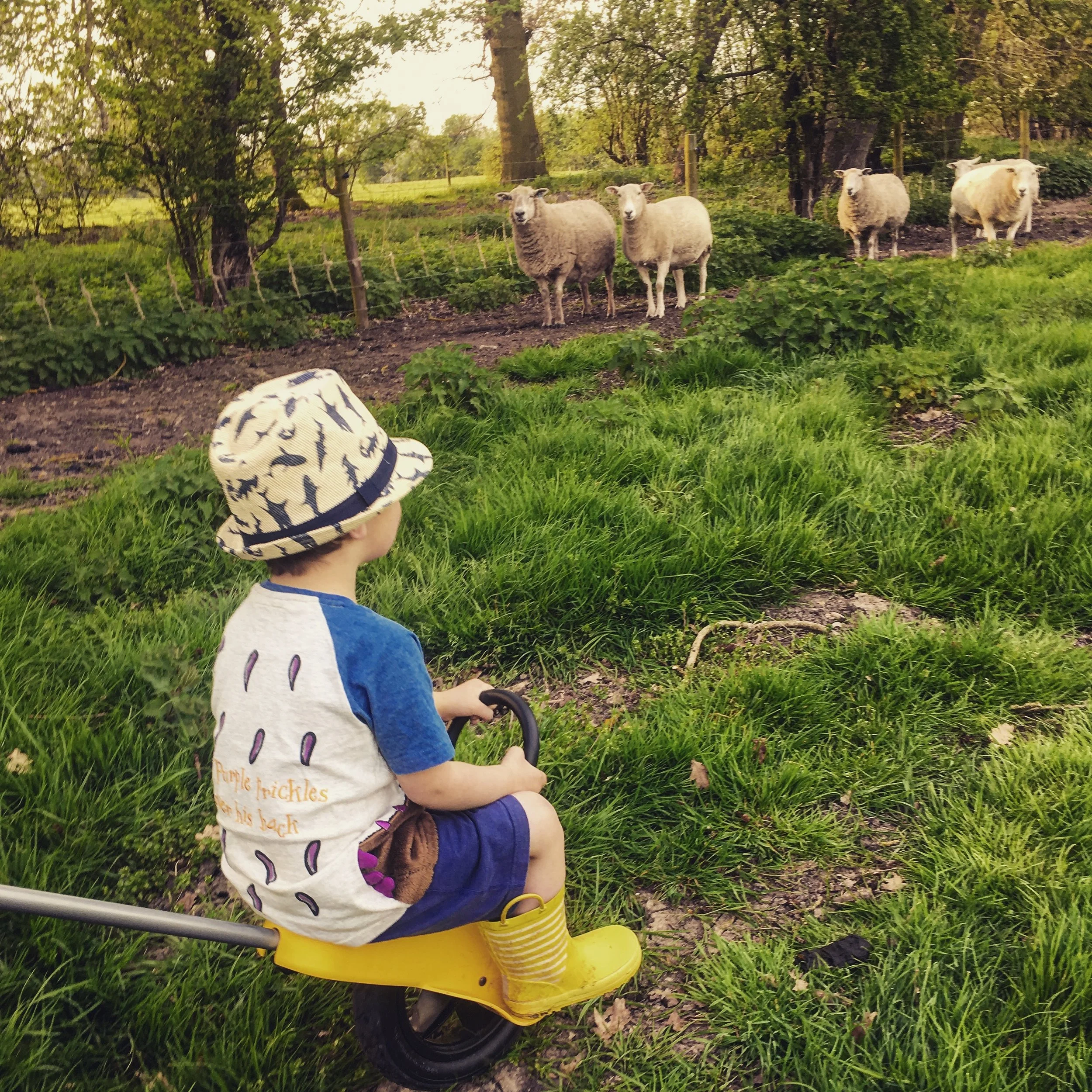 mountain buggy unirider stroller