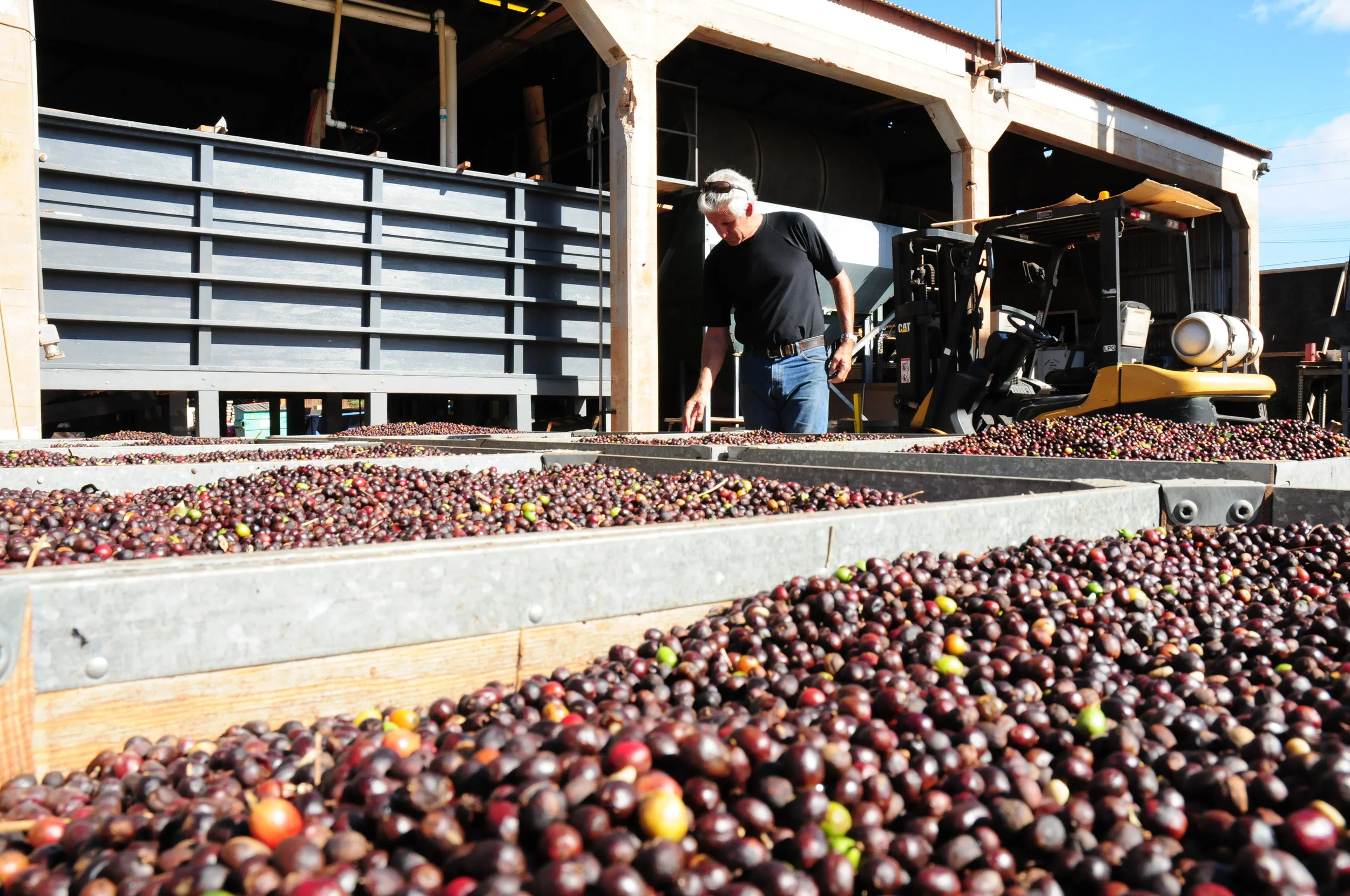 Maui Mokka® takes top honors at statewide cupping competition
