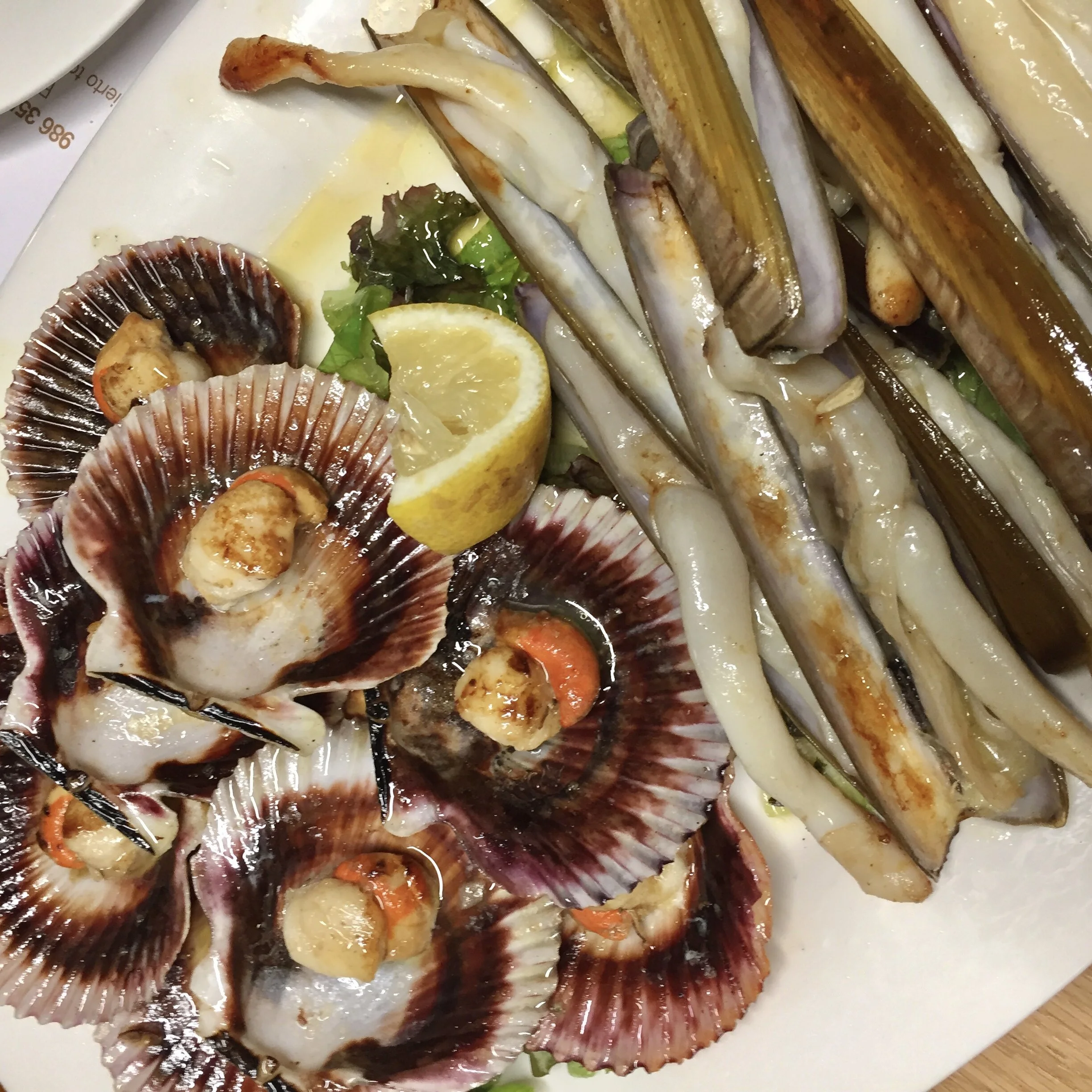 Grilled Scallops &amp; Razor Clams in Baiona, Spain