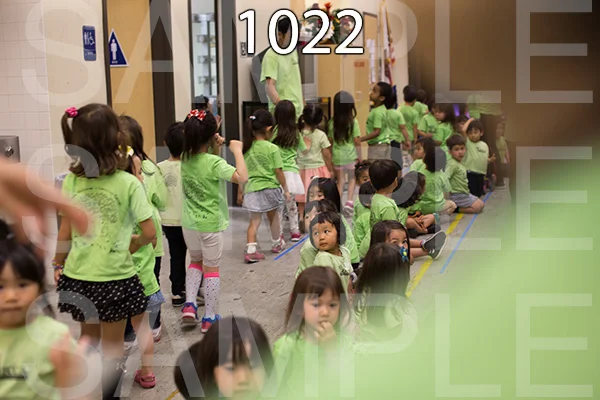 RC-RE-16-1022.jpg