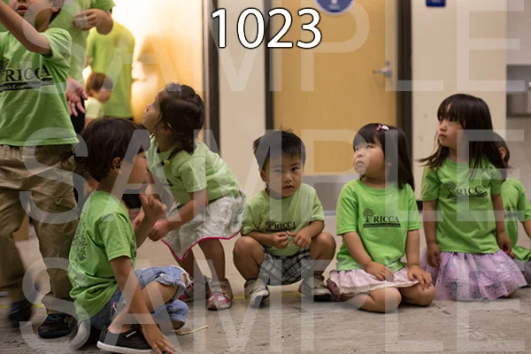 RC-RE-16-1023.jpg