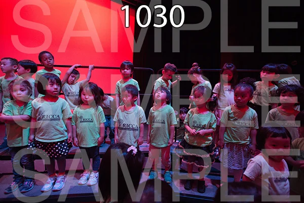 RC-RE-16-1030.jpg