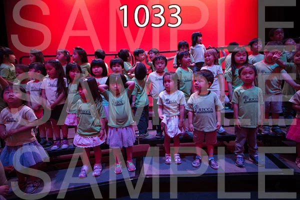 RC-RE-16-1033.jpg