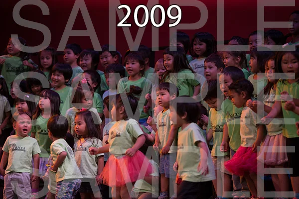 RC-RE-16-2009.jpg