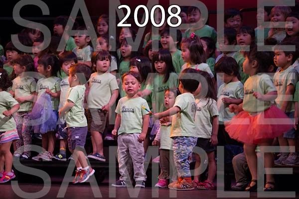 RC-RE-16-2008.jpg
