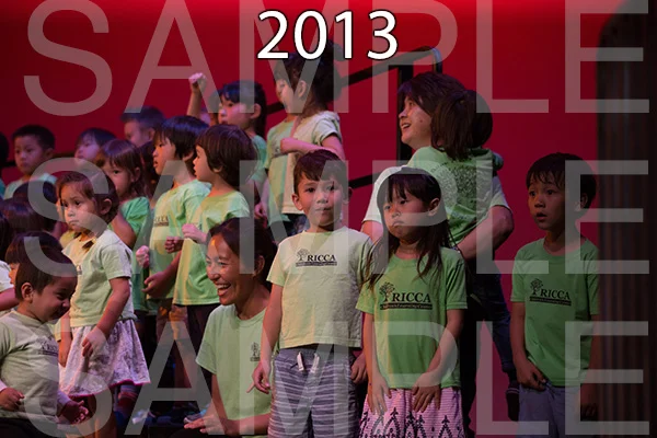 RC-RE-16-2013.jpg