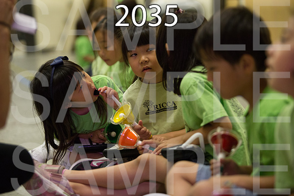 RC-RE-16-2035.jpg