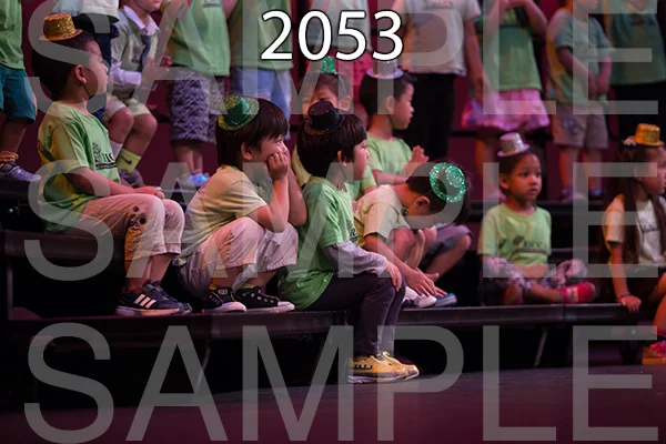 RC-RE-16-2053.jpg
