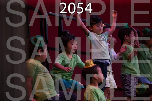 RC-RE-16-2054.jpg