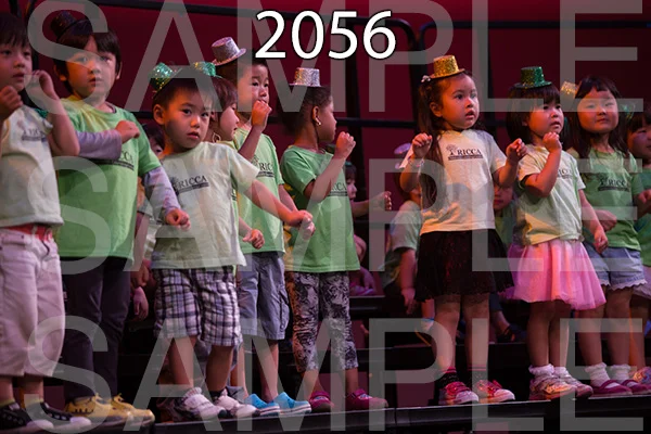 RC-RE-16-2056.jpg