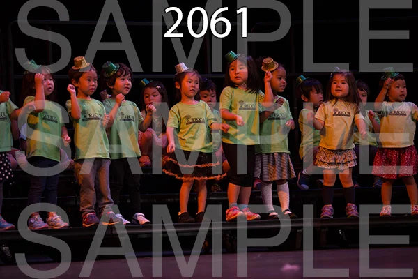 RC-RE-16-2061.jpg