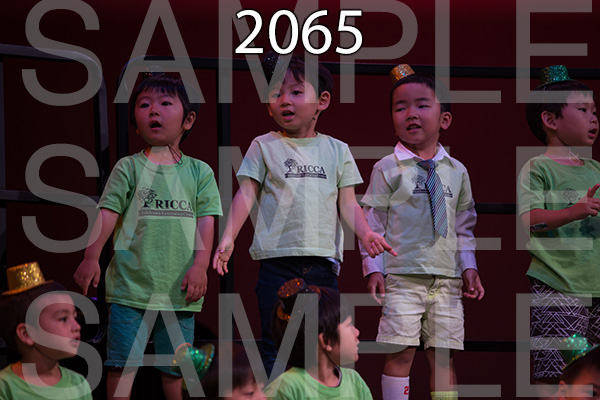 RC-RE-16-2065.jpg
