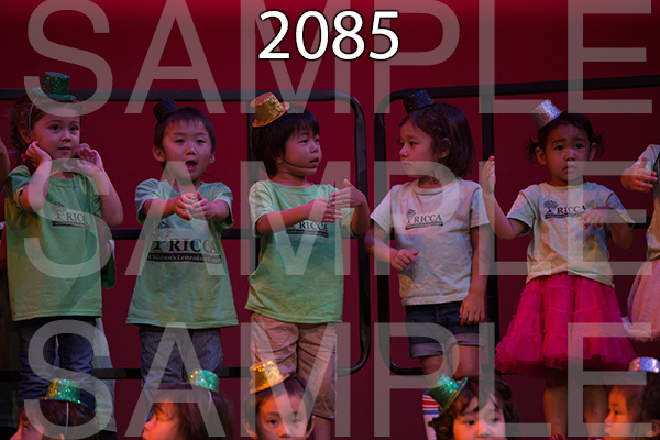 RC-RE-16-2085.jpg