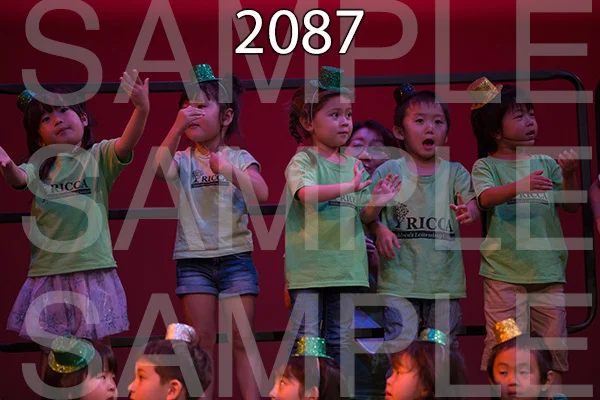 RC-RE-16-2087.jpg