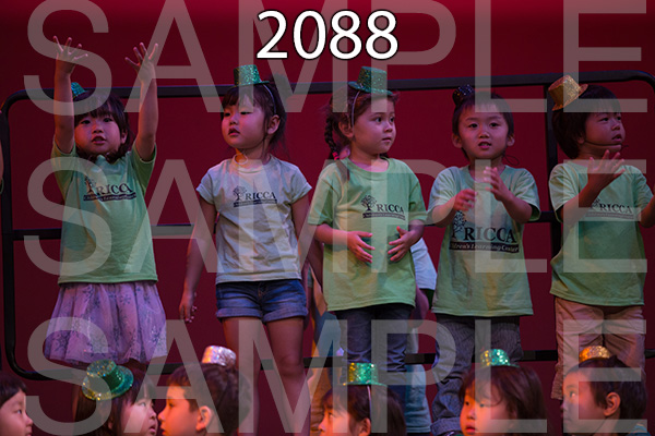 RC-RE-16-2088.jpg