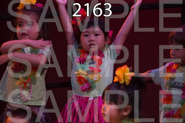 RC-RE-16-2163.jpg