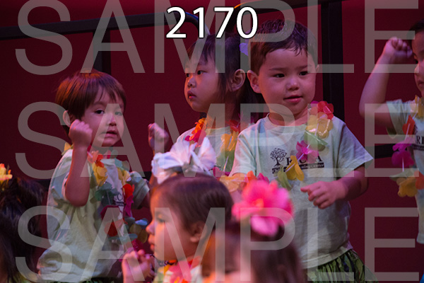 RC-RE-16-2170.jpg