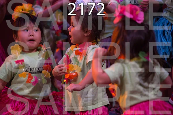 RC-RE-16-2172.jpg