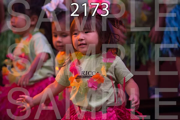 RC-RE-16-2173.jpg