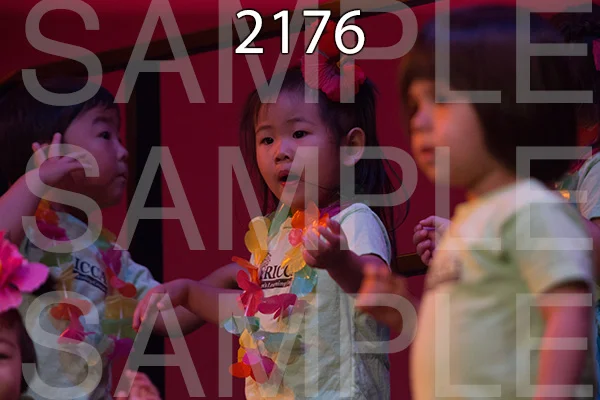RC-RE-16-2176.jpg