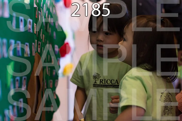 RC-RE-16-2185.jpg
