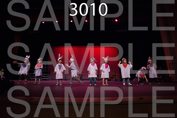 RC-RE-16-3010.jpg