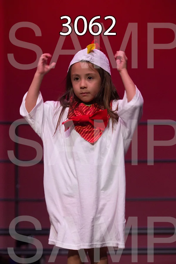 RC-RE-16-3062.jpg