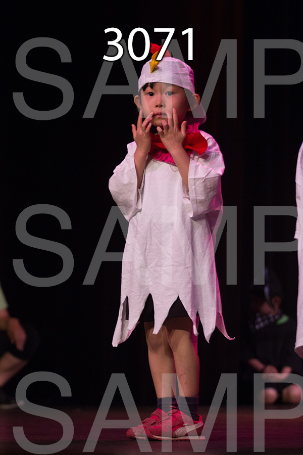 RC-RE-16-3071.jpg