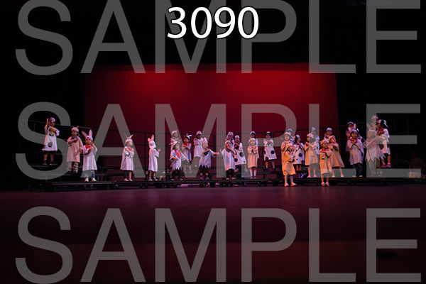 RC-RE-16-3090.jpg