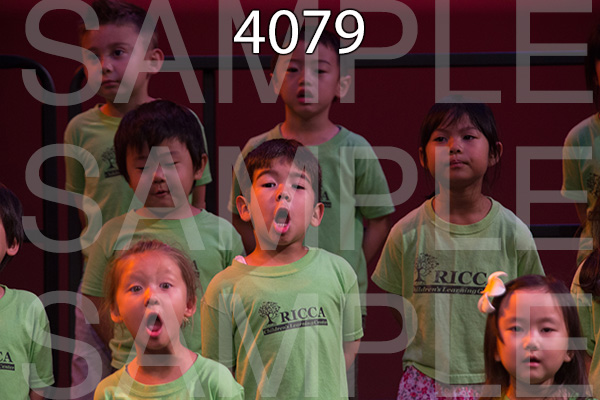RC-RE-16-4079.jpg