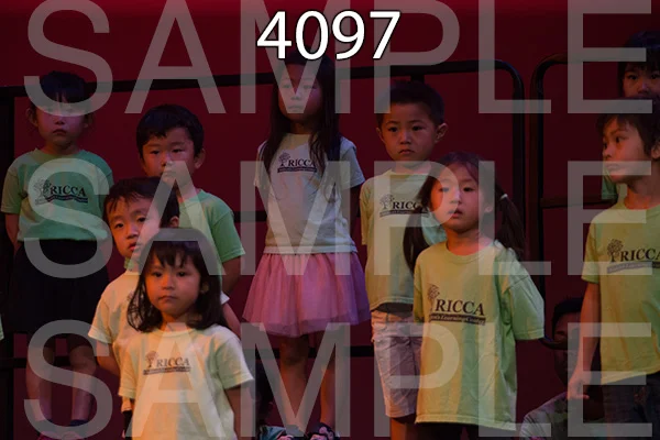 RC-RE-16-4097.jpg