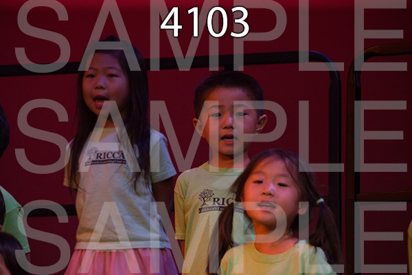 RC-RE-16-4103.jpg