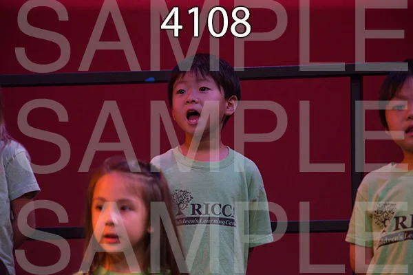 RC-RE-16-4108.jpg
