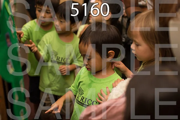 RC-RE-16-5160.jpg