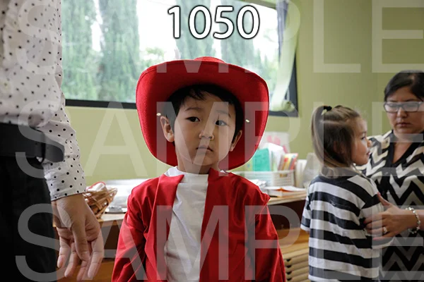 MI-RE-16-1050.jpg