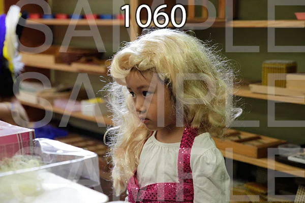 MI-RE-16-1060.jpg