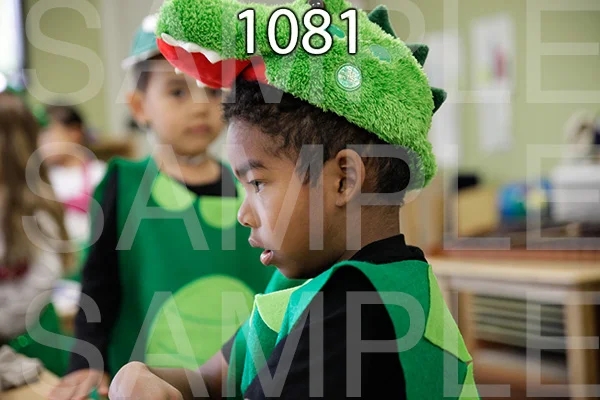 MI-RE-16-1081.jpg