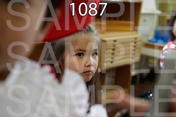 MI-RE-16-1087.jpg