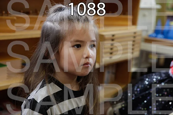 MI-RE-16-1088.jpg